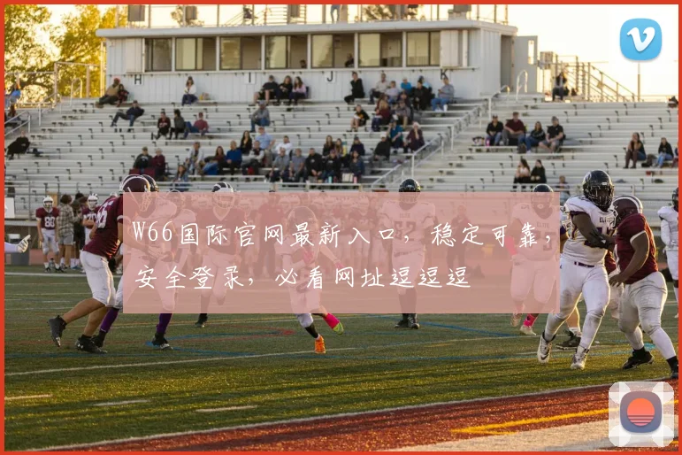 W66国际官网最新入口，稳定可靠，安全登录，必看网址逗逗逗