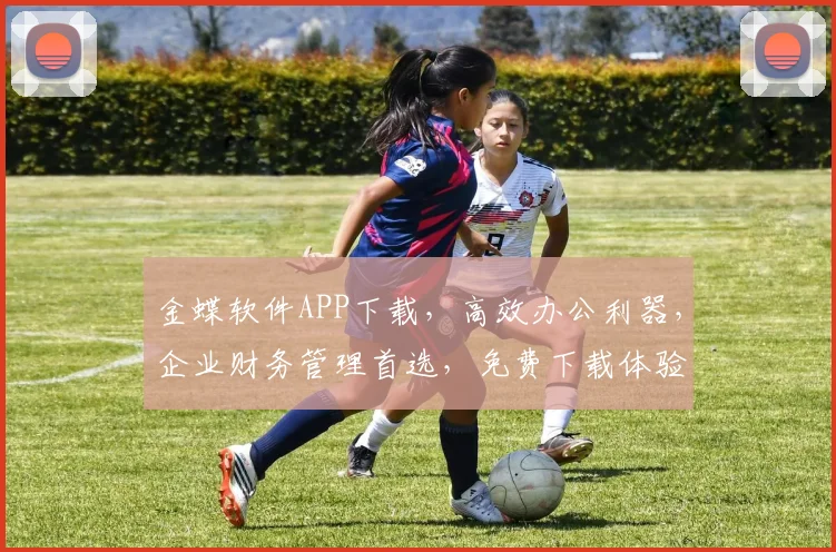 金蝶软件APP下载，高效办公利器，企业财务管理首选，免费下载体验
