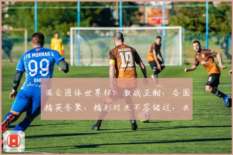 混合团体世界杯：激战正酣，各国精英齐聚，精彩对决不容错过，共赏体育盛宴